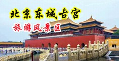 操美女骚B视频网站中国北京-东城古宫旅游风景区